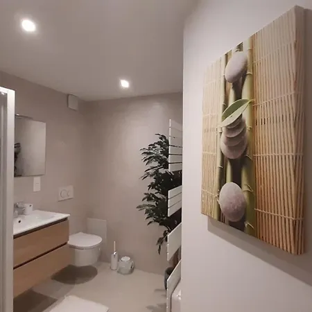 Vauban Apartment Colmar